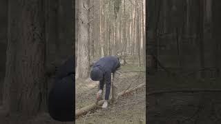 Building a shelter in the forest #bushcraft #asmr