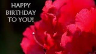 Delightful Happy Birthday Video Card - With dancing flowers 3