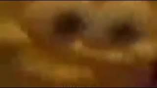 Я так не думаю Губка Боб