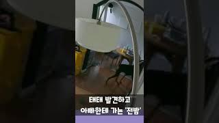 BTS '전밤아빠' 정구기 '탄이아빠' 뷔 아빠바라기