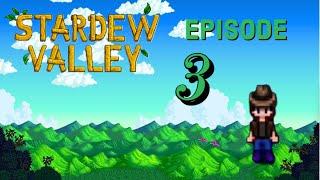 Stardew valley EP.3 | TURNIPS!