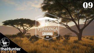 (EP09) Traffic Jam | Vurhonga Savanna | theHunter Call of the Wild