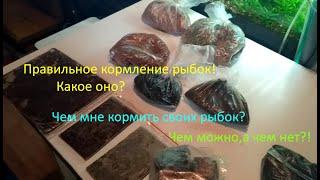 Правильное кормление рыбок!