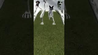 GUESS ZOONOMALY CHARACTER BY SLIM LEG PART 3