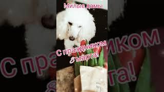 Margo Liza: С праздником 8 марта. #Margoliza