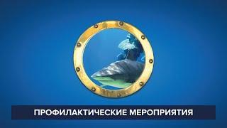 Профилактические меры