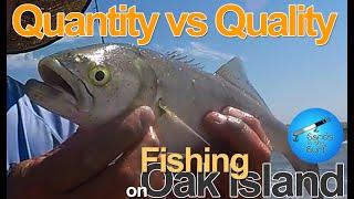 Quantity vs Quality fishing on Oak Island