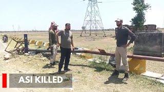 Samba: Bovine Smugglers Kill Assistant Sub-Inspector