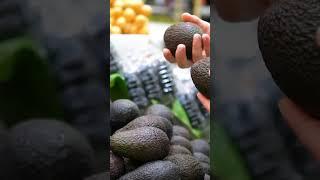 Here's why avocados are always nearly ripe at the market. #Avocado #Farming #AvocadoToast
