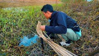 Cắm Câu Vùng Biên Giới Vừa Cắm Xong Dính 2 Con Cá To Bằng Bàn Tay