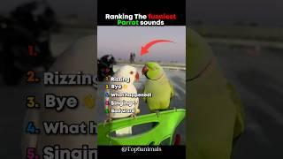 Ranking The Funniest Parrot Sounds  #ranking #funny #parrot