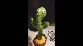 The Toy that ascended me to Heaven  - The Dancing Cactus