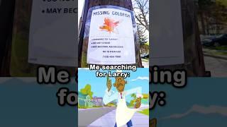 Missing goldfish