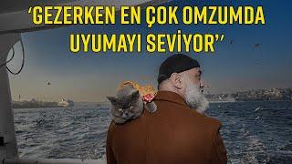 SAHİBİNİN OMZUNDA TAŞIYARAK GEZDİRDİĞİ KEDİ ADETA İSTANBUL'UN SEYYAHI OLDU!