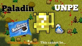 Paladin UNPE [RotMG]