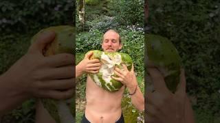 Going How To Big fruits cutting skills amazing natural resources fruit #shorts #satisfying #trending