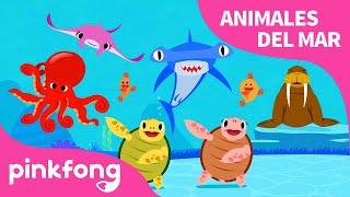 Muévete Como los Animales del Mar | Animales del Mar | Pinkfong Canciones Infantiles