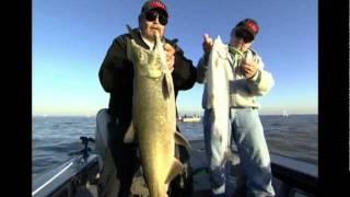 Rapala®Tail Dancer®