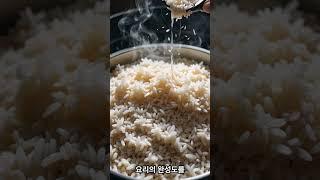 냉동밥, 그냥 넣지 마세요!#자취템 #냉동밥용기 #전자레인지OK #자취생필수템 [냉동밥 전용 보관용기 보러가기https://link.coupang.com/a/czbJvN