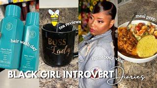 Black Girl Introvert Diaries ep. 29 | meal prep, aldi haul, wash day, crazy dream storytime & more 