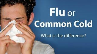 Flu or Common Cold - What is the difference?