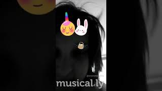 Musical. Ly