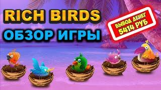 Rich-Birds экономическая игра с выводом денег проверка сайта, обзор, отзывы, мои результаты