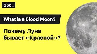 What is a Blood Moon?