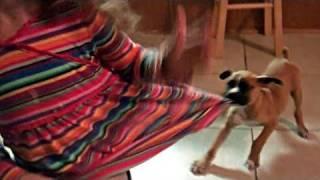 PUPPY ATTACKS LITTLE GIRL (3.1.11 - Day 61)