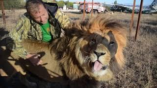 Лев Олежка наконец дождался приезда папы !