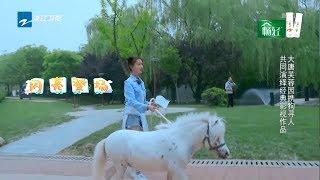 【游戏cut】吴谨言牵白马出场 王凯林允重现经典《神雕侠侣》《青春环游记》第3期  花絮 20190518 [浙江卫视官方HD]