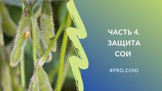 Часть 4. Защита сои | Пять вечеров PRO.СОЮ