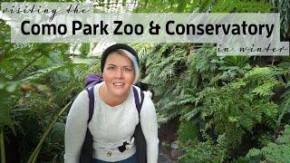 Visiting the Como Park Zoo and Conservatory in Winter