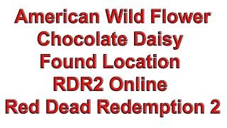 American Wild Flower Chocolate Daisy Found Location 1 - RDR2 Online Red Dead Redemption 4