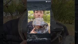  Which dish did Iceboy's make #iceboy #asmr #youtubeshorts