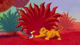 The Colors of The Lion King