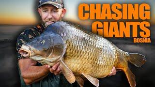 1300 Mile Trip + Mark Pitchers = Huge Carp    | Carp Fishing in Bosnia