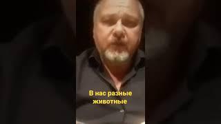 В нас живут разные животные