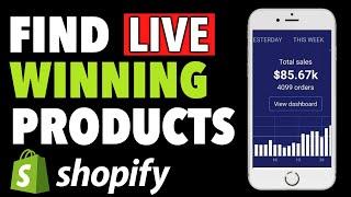  Shopify Dropshipping FINDING WINNING PRODUCTS LIVE With THE ECOM KING