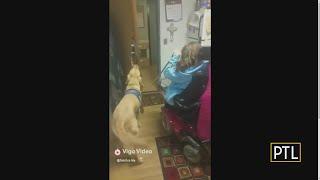 Ms. Wheelchair Pa. Introduces Us To Her Canine Companion