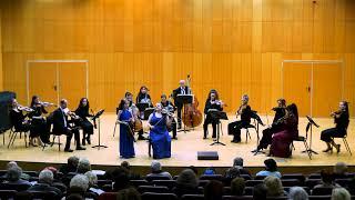 Vivaldi Concerto in A Minor for Two Violins: Sylvia Pine, Rachel Barton Pine, Tel Aviv Soloists