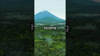 Aokigahara: Japan’s Most Beautiful Nightmare!  #facts #travel#Aokigahara #japan