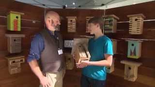 Business and Art with Matt Estrada | ArtQuest | NPT