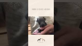 아빠 손이 제일 맛있어요