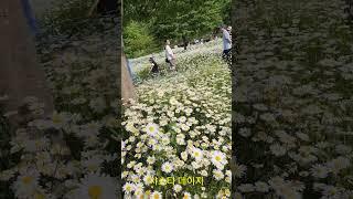 마음이 정화되는 산책길/함안 악양생태공원 브이로그