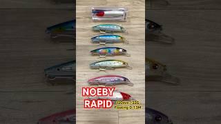 NOEBY RAPID 22G BABJI FISHING TACKLES MUMBAI 9326865679 #fishing #angler #saltwater  #hunting #lake