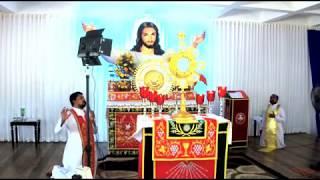 Mount Carmel Saturday Bible study. Fr Daniel Poovannathil Live Stream.