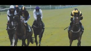 Family & Friends at Great Yarmouth Racecourse - horse racing