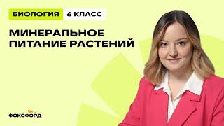 Минеральное питание растений | Биология 6 класс | Домашняя школа Фоксфорда