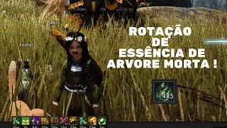 Black Desert Online How to collect dead tree essence (BDO árvore morta)